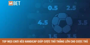 Top mẹo chơi kèo Handicap giúp cược thủ thắng lớn cho cược thủ