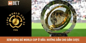 Xem bóng đá World Cup ở đâu: Hướng dẫn cho dân cược